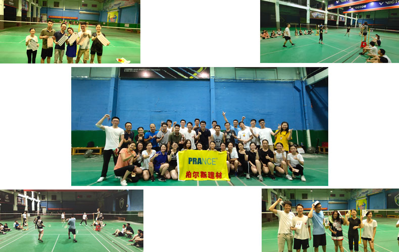 柏爾斯羽毛球比賽